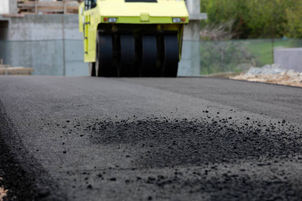 Best Local Driveway Pavers  in Kinston, NC
