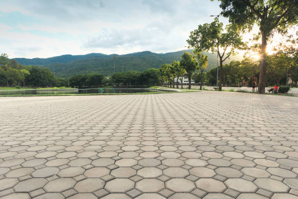 Best Driveway Pavers Near Me  in Kinston, NC