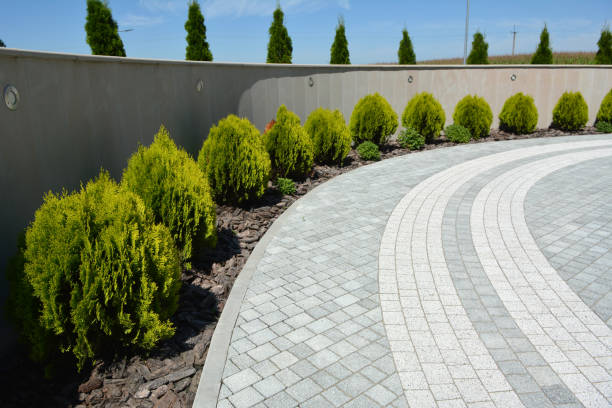 Best Driveway Paver Sealing  in Kinston, NC